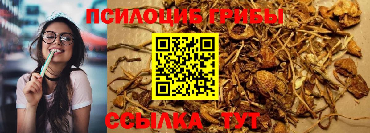 Галлюциногенные грибы Magic Shrooms  Вход с VPN  где найти   Нягань  Псилоцибиновые грибы Cubensis 